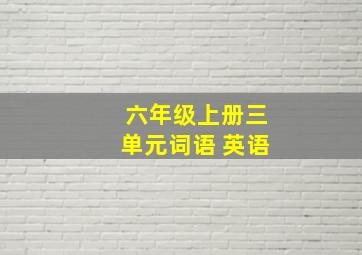 六年级上册三单元词语 英语